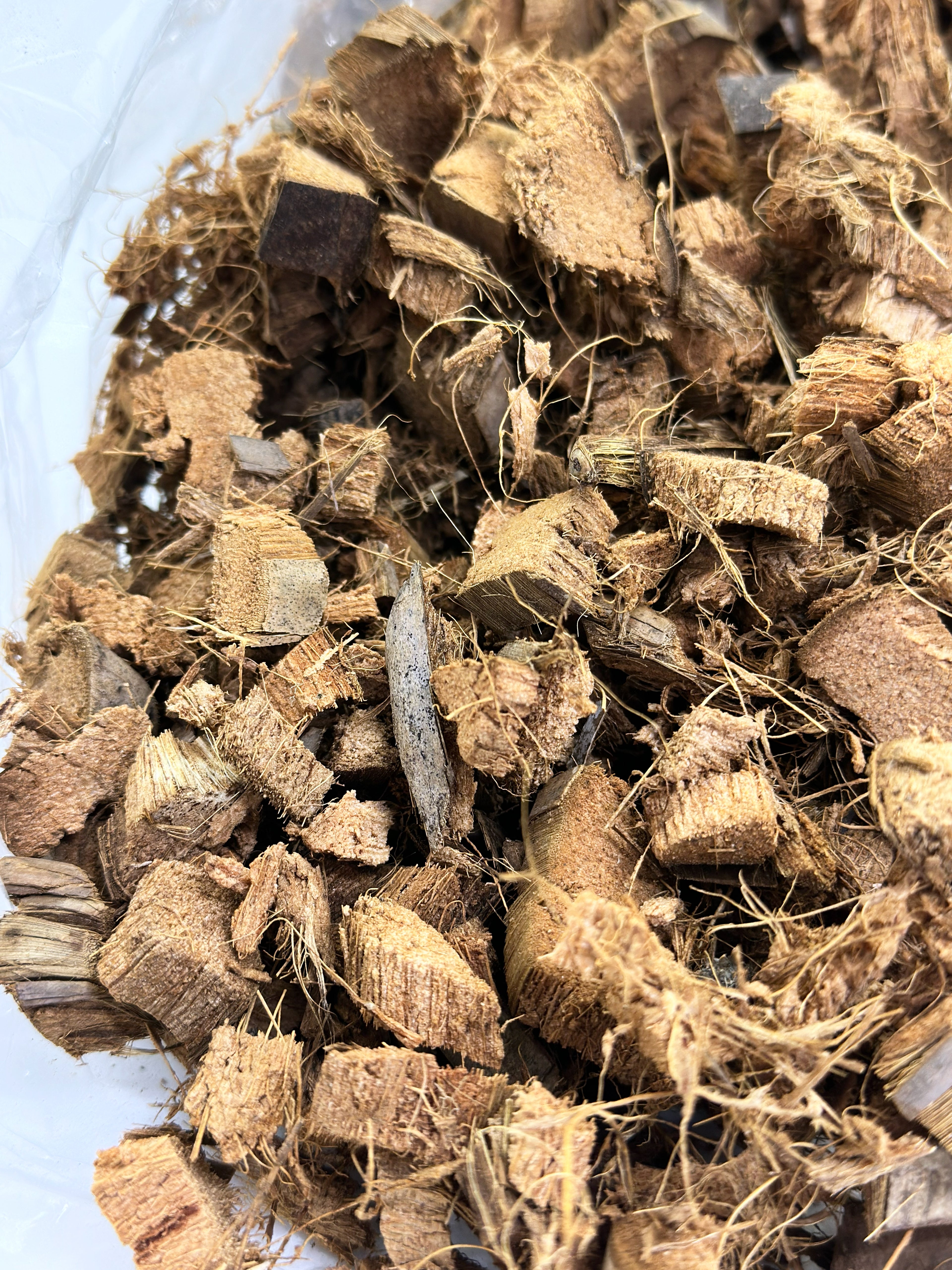 Coco Chip