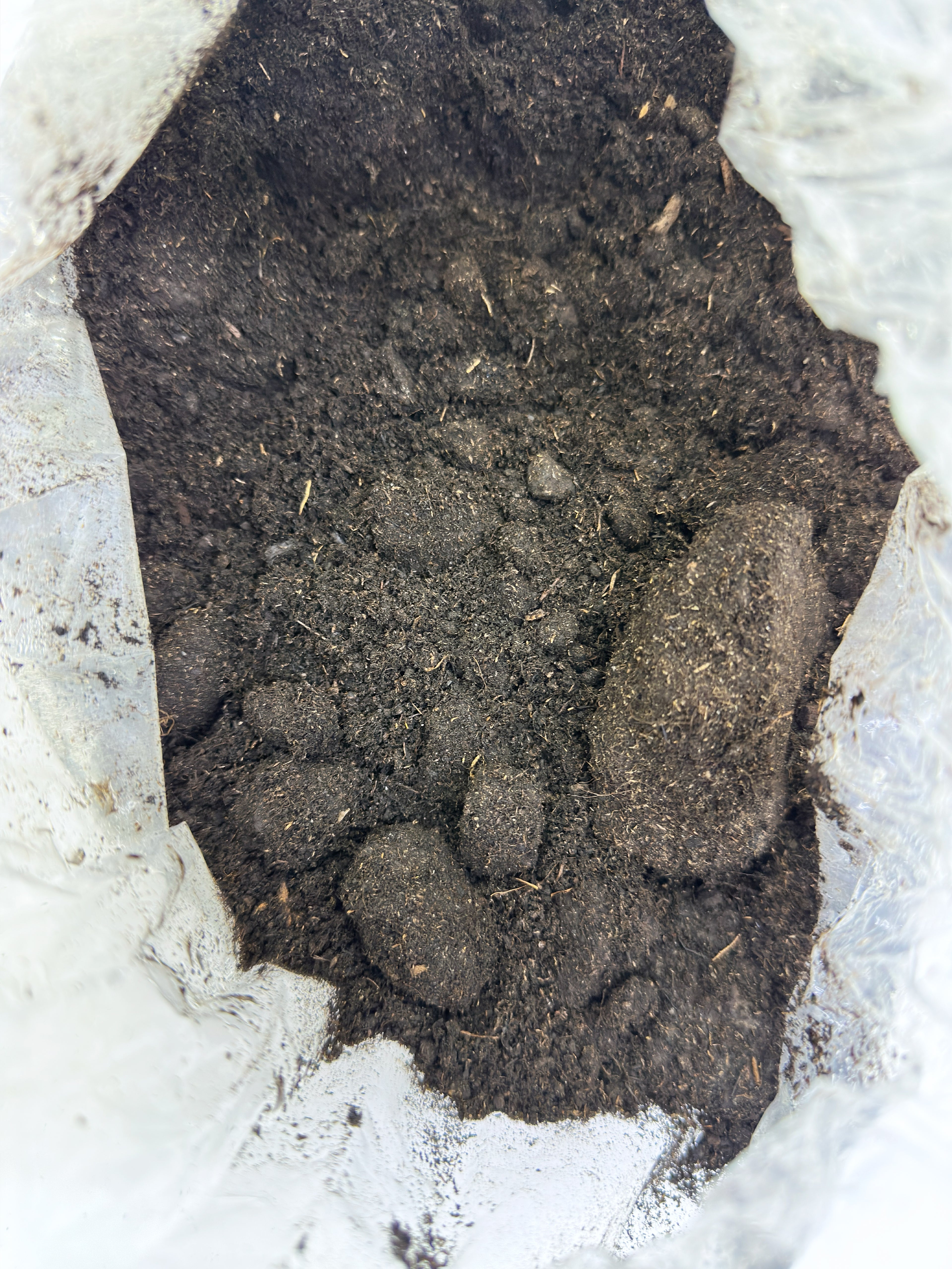 Peat Moss